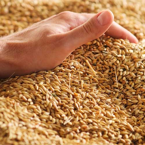 Périgord Farine : L’écoute de nos clients est au cœur de nos préoccupations.
