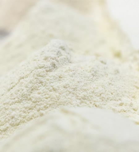 Périgord Farines : sélection et production de farines de haute qualité et certifiées (blé, sarrasin,...)