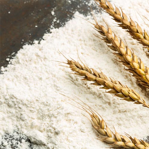 Périgord Farine – Minoterie Allafort innove et développe de nouveaux produits pour anticiper et répondre aux demandes de ses clients.